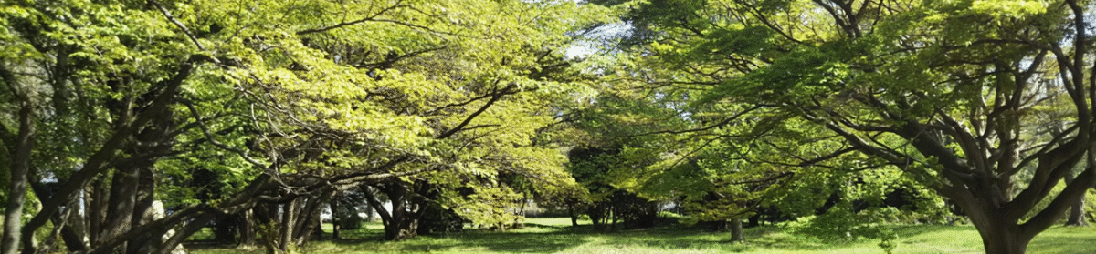 メタボ卒業応援ブログ